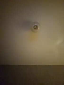 Argentino1977 webcam