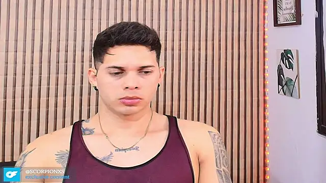 johan_speitzer webcam