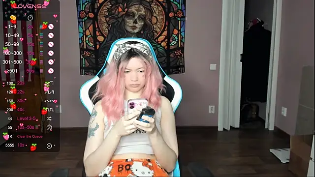 Project_hisoka webcam