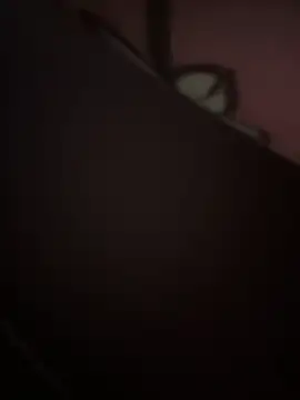 curis4270panda webcam