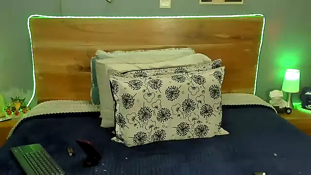 Prometeo-grizzly webcam