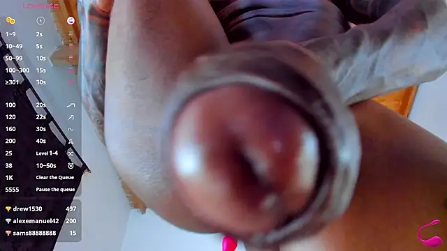 esteveen_ortegas_ webcam