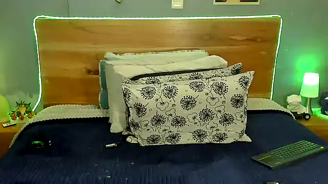 Prometeo-grizzly webcam