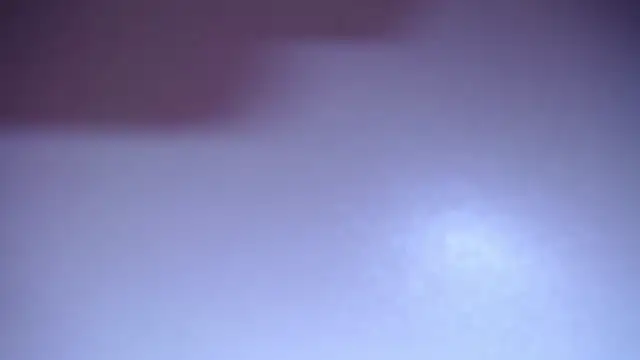 salomecastro_ webcam