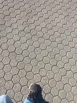 stallone_italiano_62 webcam