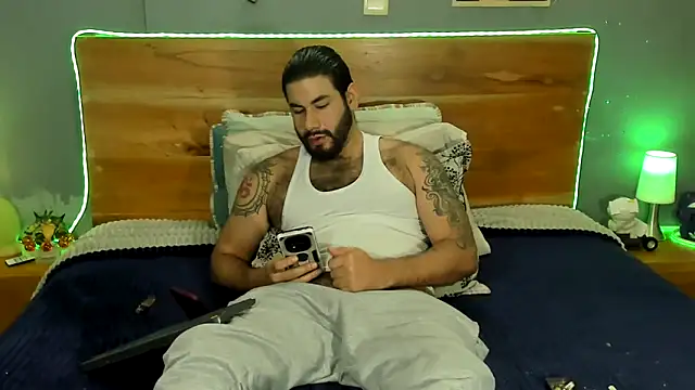 Prometeo-grizzly webcam