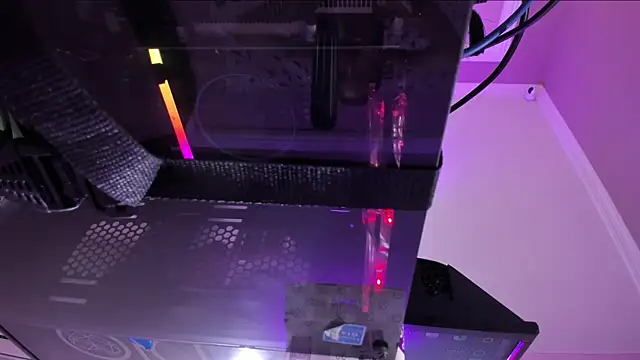 ElaineLaurent webcam