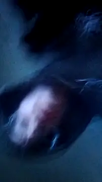 PerfeckPenis138 webcam