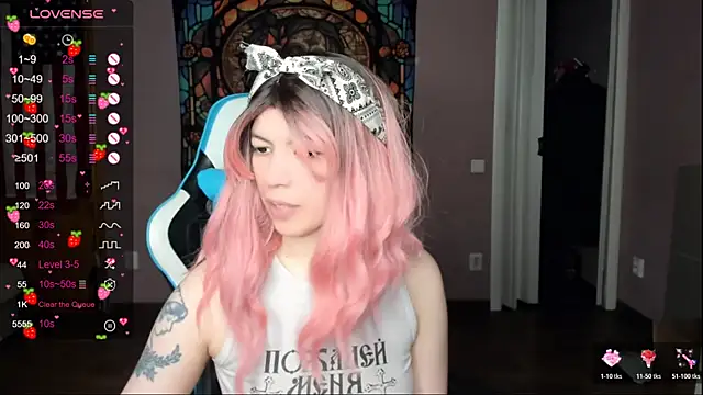 Project_hisoka webcam