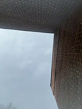 curis4270panda webcam