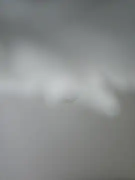 theblondecocklover webcam