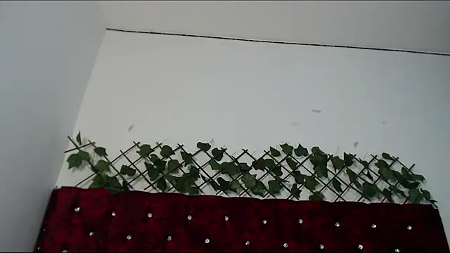 Demon_master_ webcam