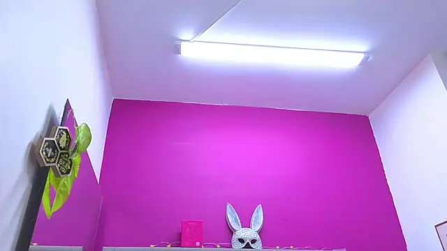 KRYSSTARITTER4 webcam