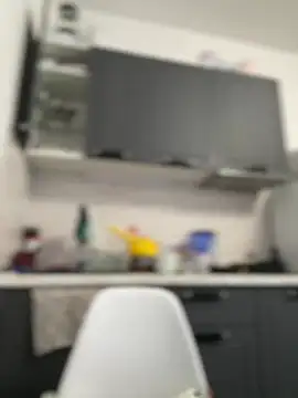 _CherryBloom_ webcam