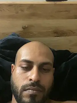 islandvybee55 webcam