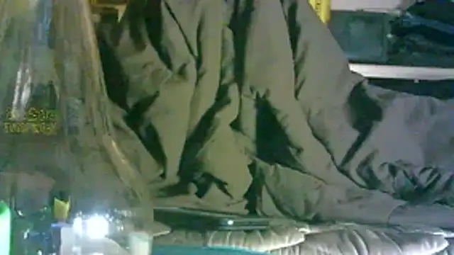 GUAPAN3S3_FIR3 webcam