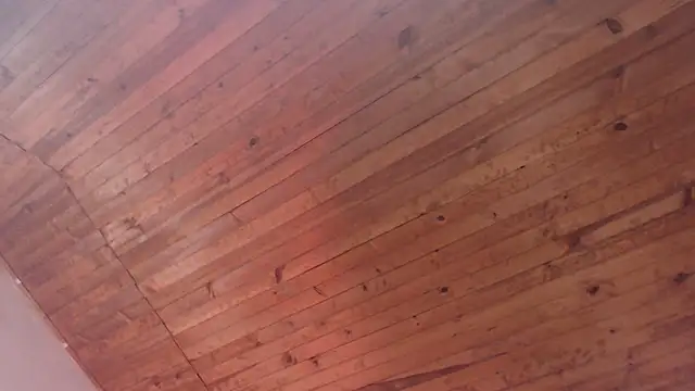 arturocardona_ - ArturoCardona_'s free webcam - UK Sex Cams