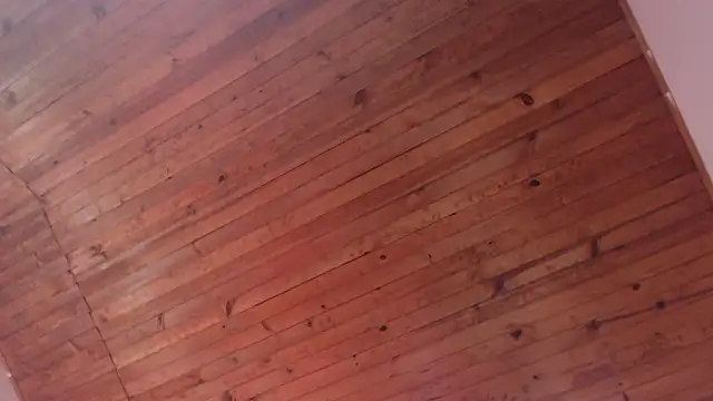 ArturoCardona_ webcam