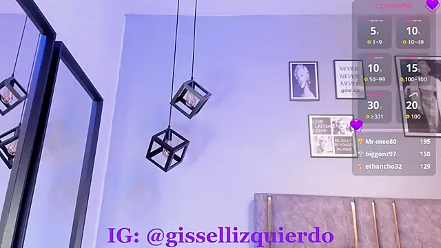 Liincostelloo webcam