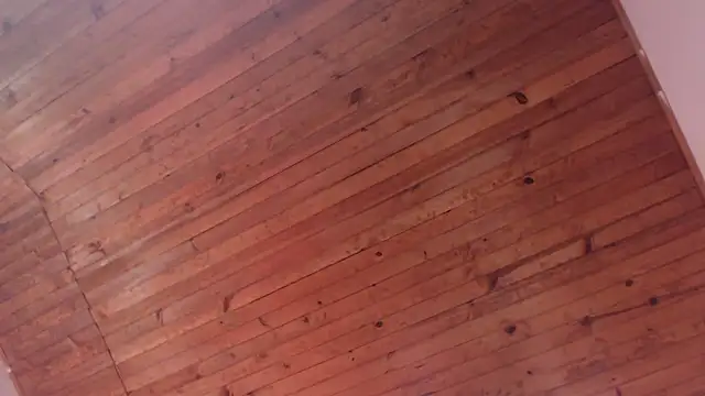 ArturoCardona_ webcam