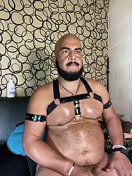 the_master_foal_ webcam