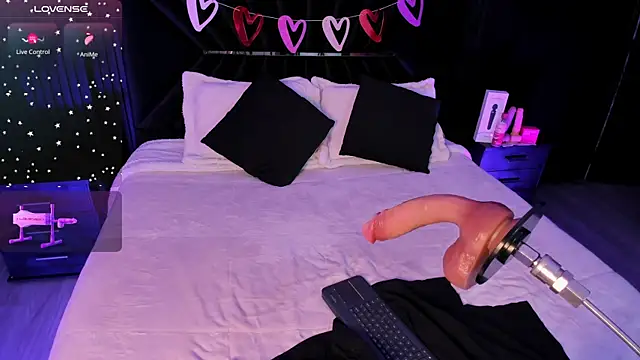 Liiahfontaine webcam