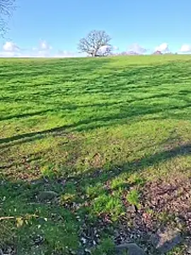 FreezingTie850 webcam