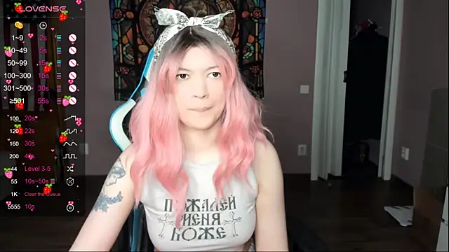 Project_hisoka webcam