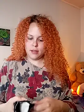 Alaska_colors7 webcam