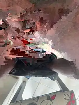 _Lowmaypalacios webcam