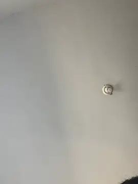 sereiaruiva99 webcam