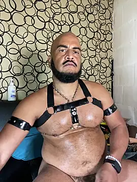 the_master_foal_ webcam