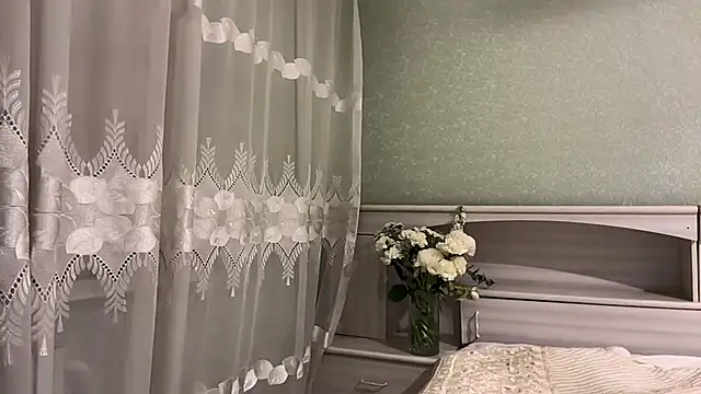 UpdatedRectus webcam