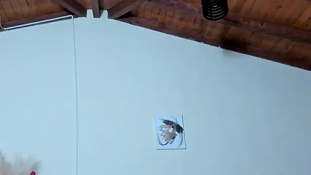 Kimberly_lozano webcam