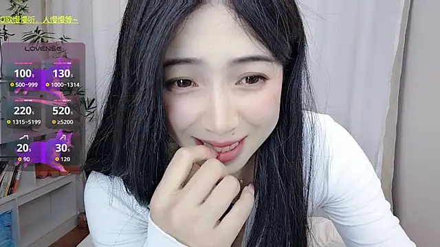 Augenstern_cat webcam