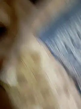 PleasantPassenger9 webcam