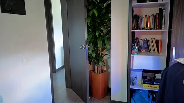 Wheeler_Green webcam