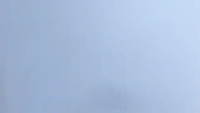 samatha_collins webcam