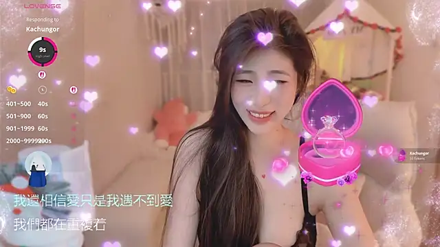 Vaidurya-Yolo webcam