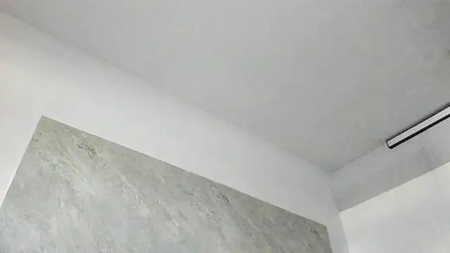 Michel_Flores webcam