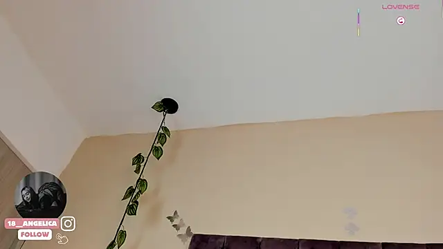 angelicaa_garcia webcam