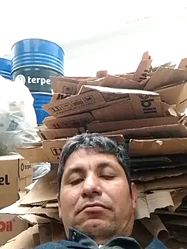 TattyFoxglove webcam