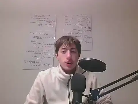 VelvetRagottiOG webcam