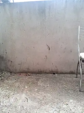 Tacafogonabaga webcam