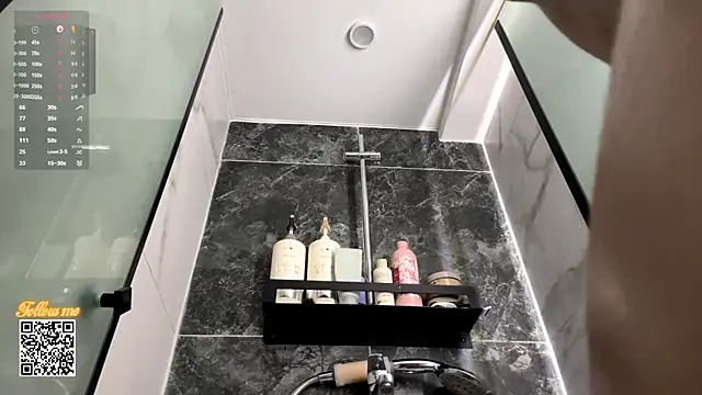 DebraSchneider webcam