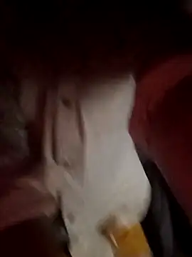 Saysomething3 webcam