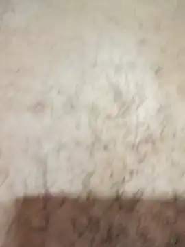 Oliver_bigblack_cock