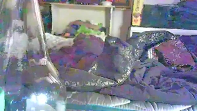 GUAPAN3S3_FIR3 webcam