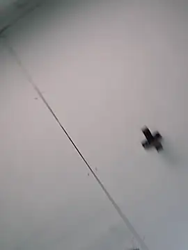 Elpichulotote20 webcam