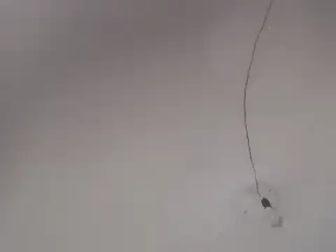 Ailanys_Miller webcam